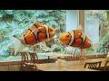 矢野顕子 -海男と瑠璃亜 feat. 細野晴臣 [Music Video]