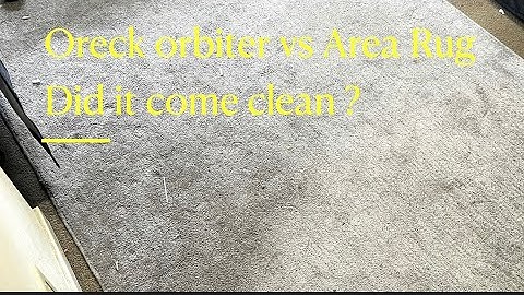 Area Rug, Rugs, Low Moisture Cleaning, Oreck Orbiter, Carpet Cleaning Service, King County WA