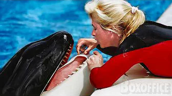 Saving Orcas: A Battle Against Captivity | Full Movie (English Subtitles) | Documentary