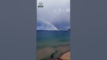 سورة فصلت • مكية • بصوت مشاري راشد العفاسي | عدد الآيات: 54 #قرآن #Quran #تلاوة #قرآن_كريم #فصلت