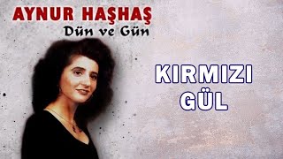 Aynur Haşhaş - Kırmızı Gül - (Türkü) Resimi