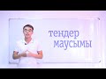 Тендер маусымы. Сезон тендеров