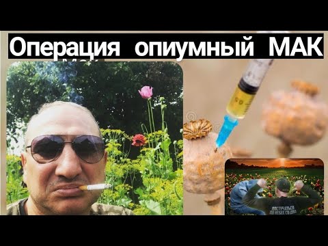 🔴МАК!💉 //ОПЕРАЦИЯ МАК //СМЕРТЬ НА СЕЗОНЕ МАКА⚰//ОПЕРАЦИЯ МАК //⚡ОТКРЫТИЕ РЦ ДОСТУЧАТЬСЯ ДО НЕБЕС