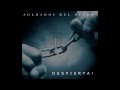 SOLDADOS DEL REYNO - DESPIERTA - REYNEROS