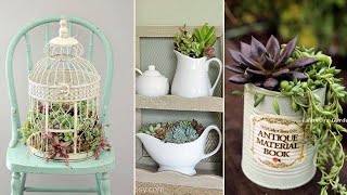 Ideias De Vasos Para Cactos E Suculentasinspirações