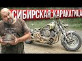 Драга в стиле стимпанк: Yamaha Dragstar 1100 из Новосибирска #МОТОЗОНА N135