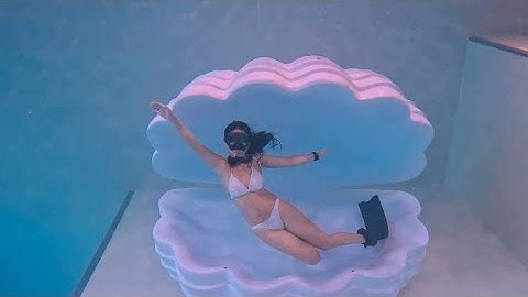 Fun Dive with Giant Shell Underwater 