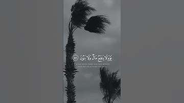 ولا تخزني يوم يبعثون - القارئ { أحمد النفيس }