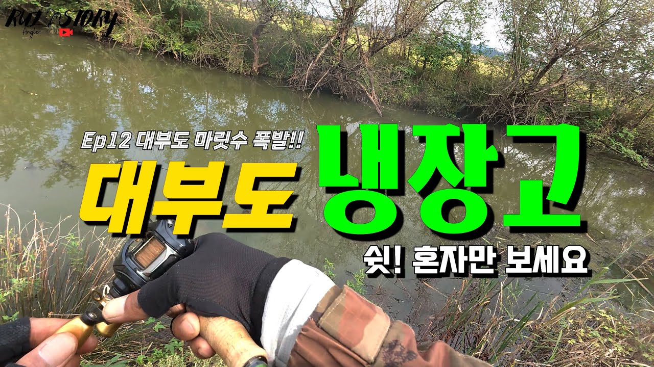 Ep12 대부도 마릿수 폭발!! (Feat. 마릿수에 덩어리까지!)