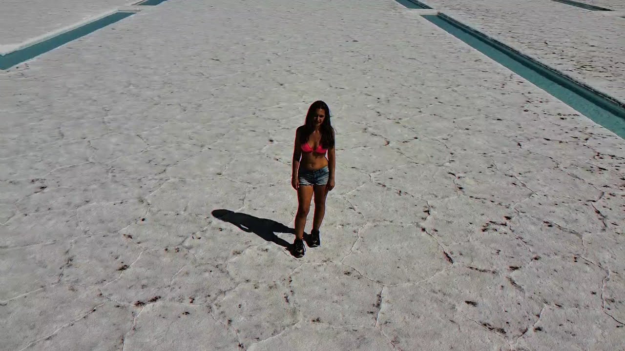 Leila Herrera - If You Like It (Visualizer)