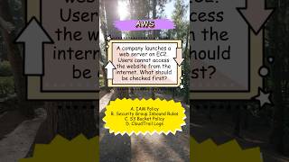 EC2 Website Not Accessible from the Internet? Check Security Groups First | AWS EC2 Interview Que.