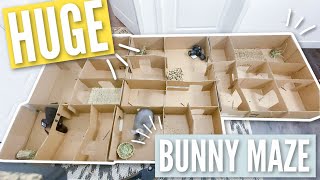 HUGE BUNNY MAZE (fail) 😂