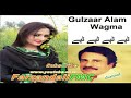 Wagma Gulzar Alam Tapy
