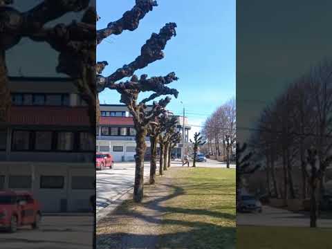 Haugesund City????????❤️ #travel #nature #lifeisbutadream