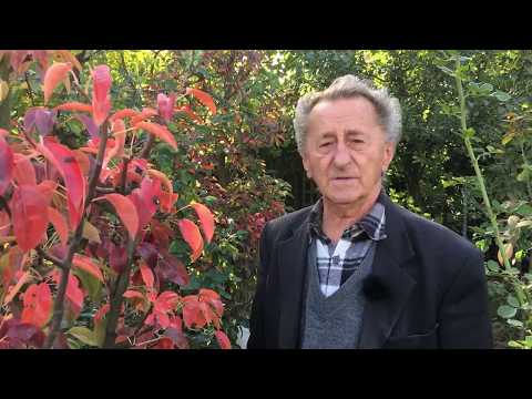 Video: Jesenné Prerezávanie Ovocných Stromov
