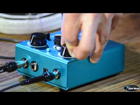 Way Huge Supa-Puss Analog Delay