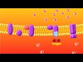 The electron transport chain explained aerobic respiration