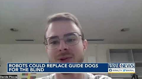 Robots could replace guide dogs for the blind