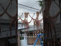 Tako Drying in Hawaiʻi
