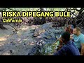 kedatangan bule,riska malah merapat diperahu❗kagum lihat tingkah riska..