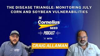 The Disease Triangle: Monitoring July Corn and Soybean Vulnerabilities