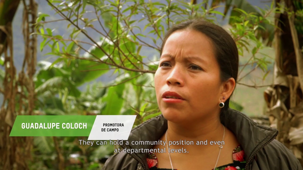 aidan quinn Saving for Change and Rural Entrepreneurship: A path towards financial inclusion in Guatemala