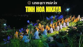 NIKAYA Pháp Đàm  - Như Người Mù Được Sáng Mắt