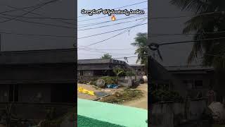 #Palnadu #WeatherUpdate #AndhraWeather #HeatWave #TeluguShorts #Trending #WeatherNews