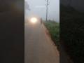 #viral #agrifuture #shortvideos #ytshorts #wayanad #keralatourism #godsowncountry #morning #walking