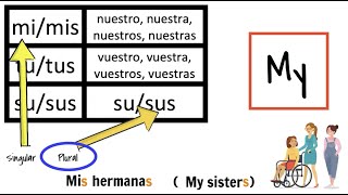 Possessive adjectives in Spanish for beginners: how to say my, your, his, her,  their explanation