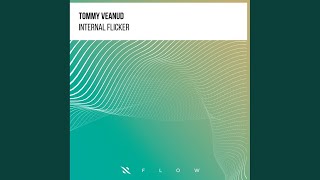 Internal Flicker - Tommy Veanud