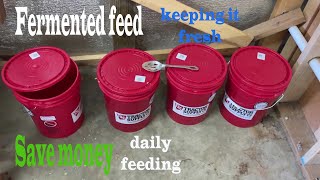 Fermented feed daily