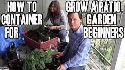 How to Grow an Easy Patio Apartment Container Garden for Beginners