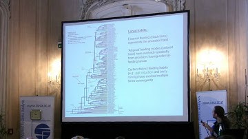 Speciation 2010: Tommi Nyman - How common is ecological speciation in plant-feeding insects?