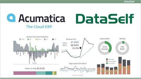 DataSelf for Acumatica Launch