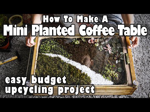 Video: DIY Coffee Table Terrarium Ideas: Cómo hacer una mesa de terrario de vidrio