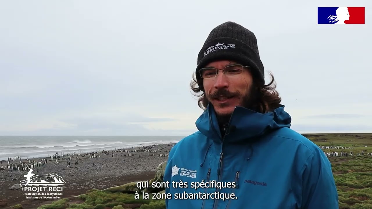 Rencontre avec Tobbie, agent TAAF en charge de la gestion des mammifères introduits à Kerguelen