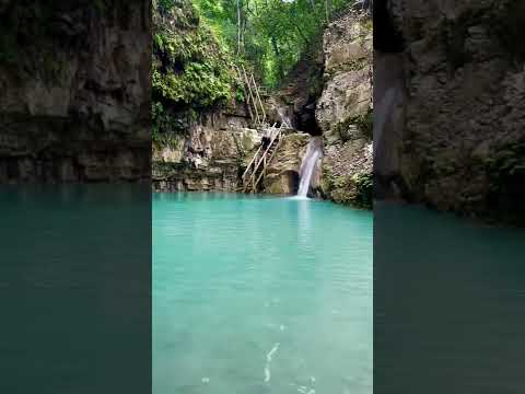 Video: 8 atracciones turísticas mejor valoradas en Puerto Plata