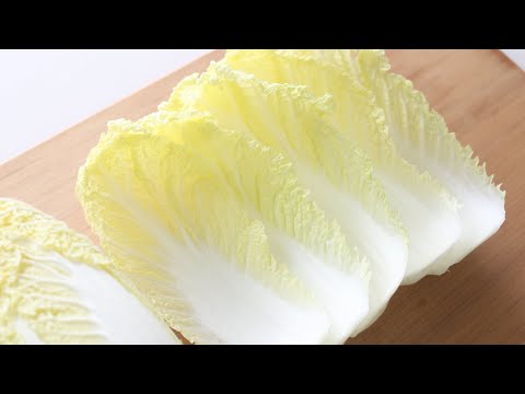 배추를 이렇게 먹으면 없던 입맛도 돌아와요~ 겨울배추요리 진작 이렇게 먹을걸~!