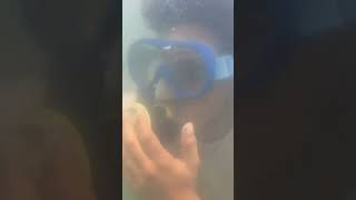 scuba Diving at Goa is a worst experience #scubadive #scubatravel #underwaterworld #scubadiving