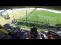 MacDon M205 Windrower, D65-D Draper, Alfalfa, POV