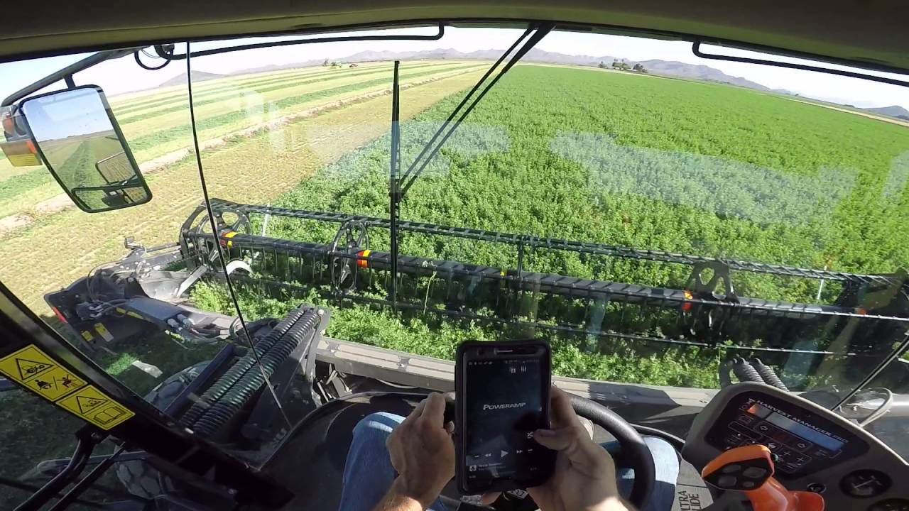 MacDon M205 Windrower, D65-D Draper, Alfalfa, POV