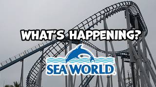 Sea World Gold Coast Visit & Update! August 2026