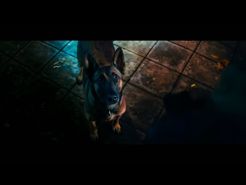 Dog Saves John Wick 