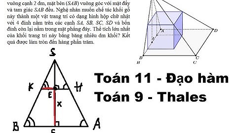 Toán 11: THPT Nguyễn Khuyến: Một khối gỗ có dạng hình chóp S.ABCD với đáy là hìnhvuông cạnh 2 dm