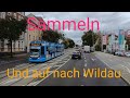 #494#  Sammeln und auf nach Wildau 