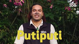 Te Wiki o Te Reo Māori with Hōhepa - Putiputi