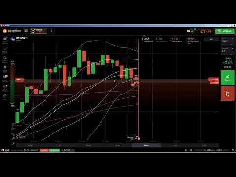 Option trading live prices