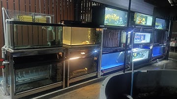 อาจารย์เต้ย ราชบุรี - ภารกิจขนย้ายตู้ปลา 11 ใบ ทำระบบ 11 ใบ (ตู้มีปลาทุกใบ) เริ่ม 10.30 จบตี 2 Set 5