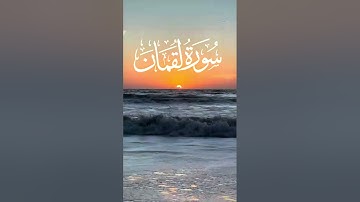 سورة لقمان للقارئ محمد ديبيروف 🌿luqman Surah